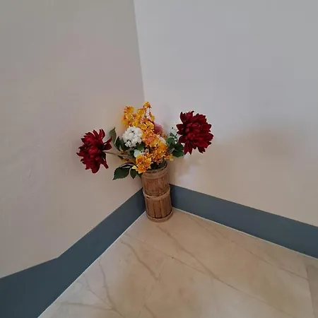 Sobe Mamalu Bed & Breakfast Valun